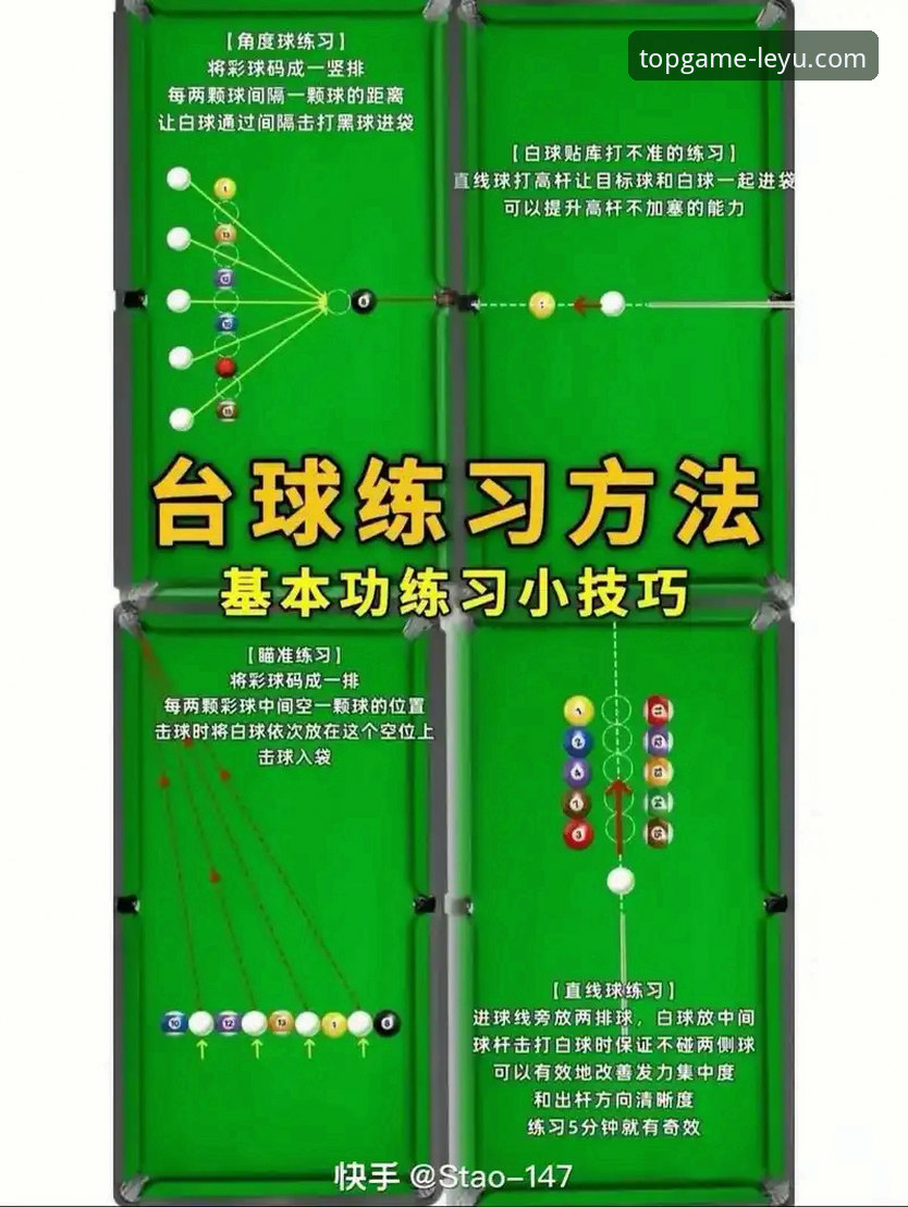 乐鱼体育平台使用技巧实用指南：从入门到精通的专家解析